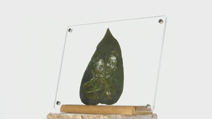 Breeze of Leaves 21x30cm Standlı Pleksi Çerçevede Kişiye Özel Canlı Yaprak Üzerine İşleme